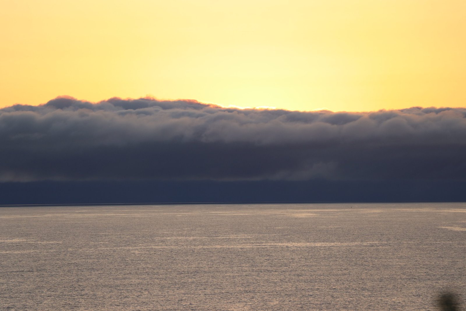 West Coast Ocean scaled